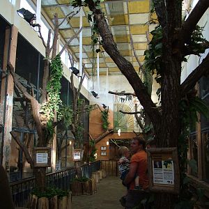 Historic Monkey House at Leipzig, 02/09/11