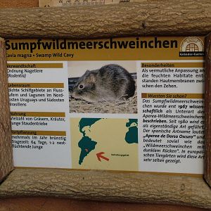 Signage Example at Leipzig, 02/09/11