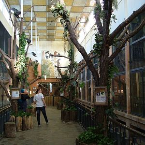 Historic Monkey House at Leipzig, 02/09/11