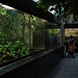 Vivaria at Leipzig, 02/09/11