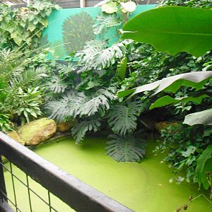 Butterfly House - 12/10/2011