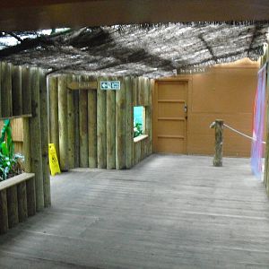 Corridor leading to the Butterfly House - 12/10/2011