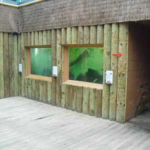 Aquariums - 12/10/2011