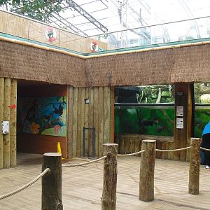 Aquarium Area - 12/10/2011