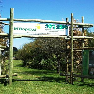 Bioparque Entry