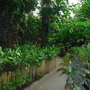 Australasia House - 12/10/2011