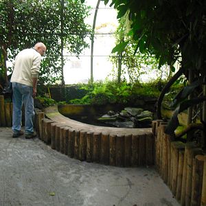 Terrapin Enclosure - 12/10/2011