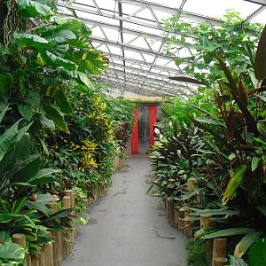 Australasia House - 12/10/2011