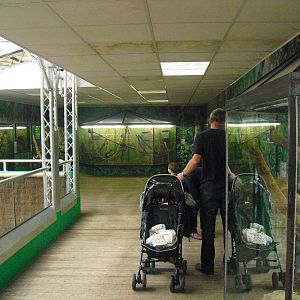 Creature Corner - 12/10/2011