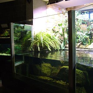 Aquarium Interior at Leipzig, 02/09/11