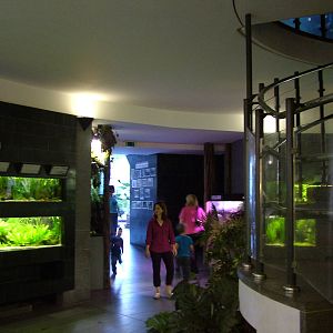 Aquarium Interior at Leipzig, 02/09/11