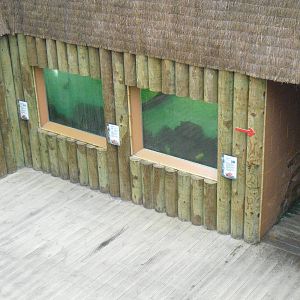 Aquariums - 12/10/2011