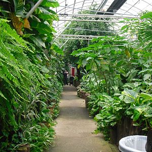 South America House - 12/10/2011