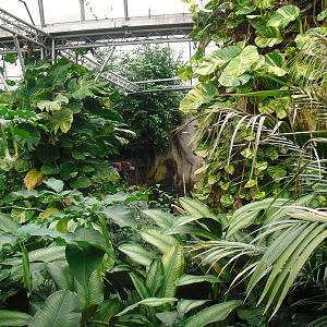 South America House - 12/10/2011