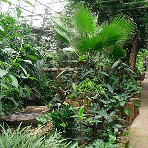 South America House - 12/10/2011