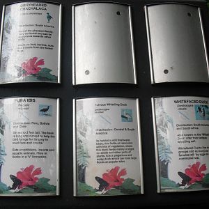 Bird Signage - 12/10/2011