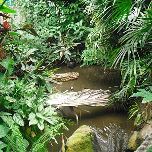 South America House - 12/10/2011