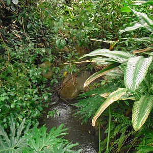 South America House - 12/10/2011