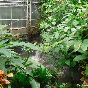 South America House - 12/10/2011