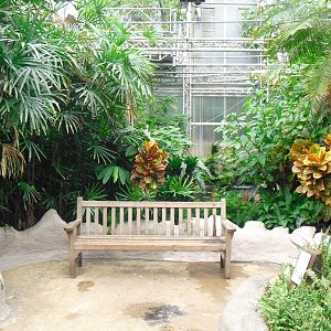 South America House - 12/10/2011