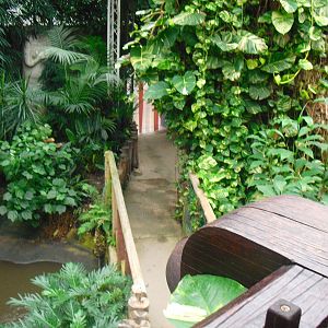 South America House - 12/10/2011