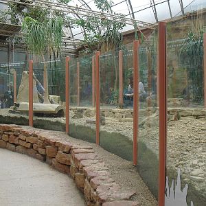 Meerkat Exhibit - 12/10/2011