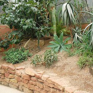 Desert House - 12/10/2011