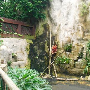 South America House - 12/10/2011