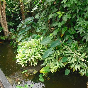 Butterfly House - 12/10/2011