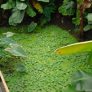 Butterfly House - 12/10/2011