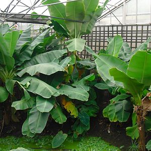 Butterfly House - 12/10/2011