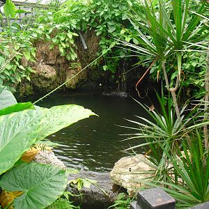 Butterfly House - 12/10/2011