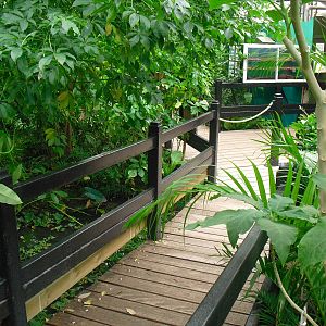 Butterfly House - 12/10/2011