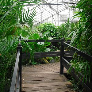 Butterfly House - 12/10/2011