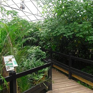 Butterfly House - 12/10/2011