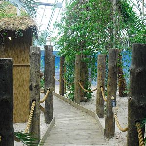 Step Ashore - 12/10/2011