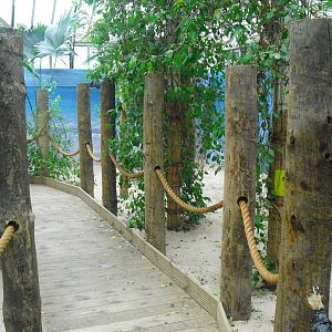 Step Ashore - 12/10/2011