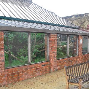 Ring-tailed Lemur Enclosure - 12/10/2011