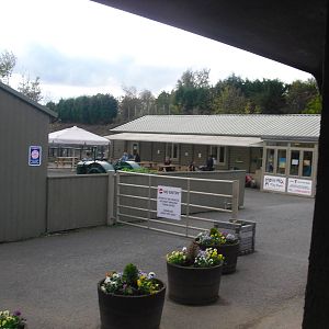 Ponderosa Entrance Area - 16/10/2011