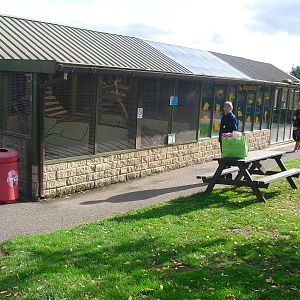 Meerkat Enclosure - 16/10/2011