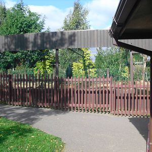 Tapir Enclosure - 16/10/2011