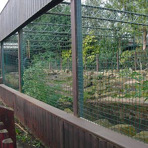Tapir Enclosure - 16/10/2011
