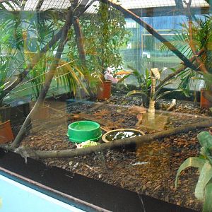 Turtle Exhibit - 16/10/2011