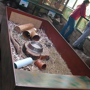 Guinea Pig Enclosure - 16/10/2011