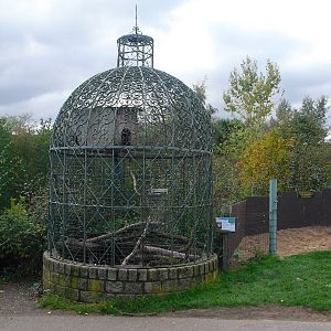 Macaw Aviary - 16/10/2011