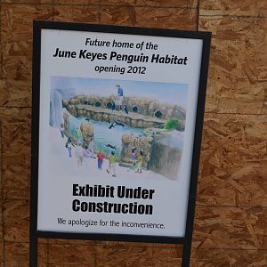 Future Penguin Exhibit Site