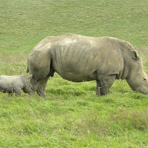 308766 615434113637 69602020 33168208 1768569008 n