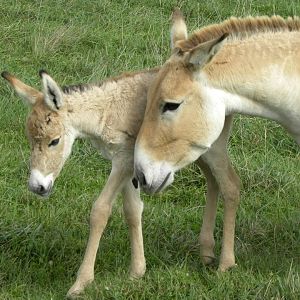 313790 615433245377 69602020 33168178 420680004 n