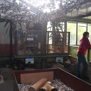 Small Mammal Enclosures (Degu and Rats) - 16/10/2011