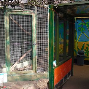 Chinchilla Enclosure - 16/10/2011